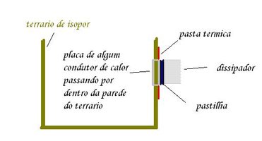 imagem.JPG