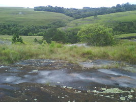 DSC00005.JPG