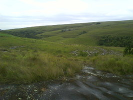 DSC00006.JPG
