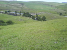 DSC00009.JPG