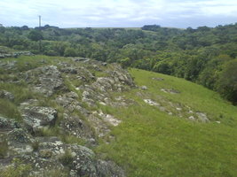 DSC00023.JPG
