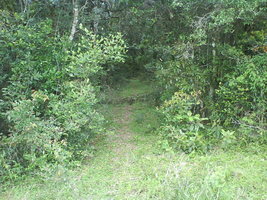 DSC00040.JPG