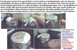 14.JPG