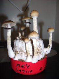 GEDC0134.JPG