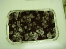 PC040422.JPG