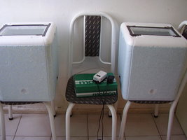 PC100434.JPG