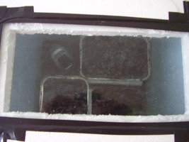 PC100436.JPG