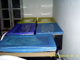 Imagem 1041.jpg