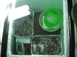 PC120458.JPG