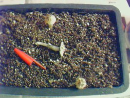 3118-131207.jpg