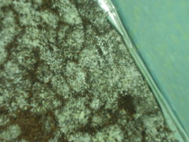 PC150011.JPG