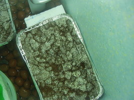 PC150012.JPG