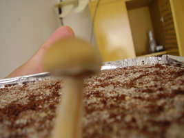 PC200039.JPG