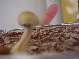 PC200040.JPG
