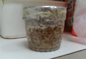 PICT0002.JPG