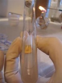 testtube059.jpg
