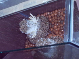 IMAG0047.JPG