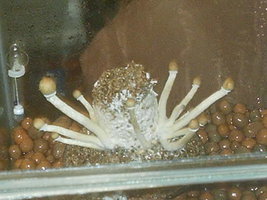 IMAG0098.JPG