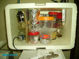 PICT0004.JPG