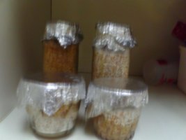 PICT0010.JPG
