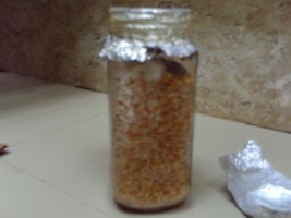 PICT0013.JPG