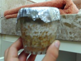 PICT0011.JPG