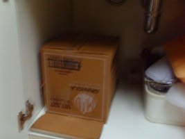 PICT0009.JPG