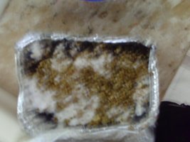 PICT0008.JPG