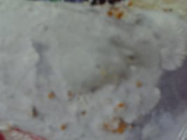 PICT0sa009.JPG