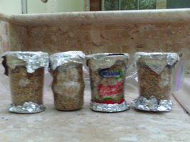 PICT000da5.JPG