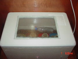 fotoscult 064.jpg