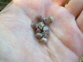 DSCN1869.jpg