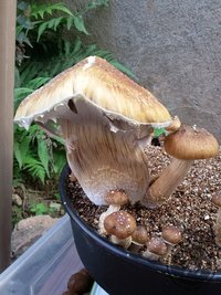 full?d=1470185914.jpg