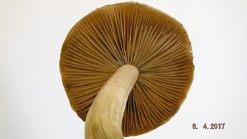 DSCF3429.JPG