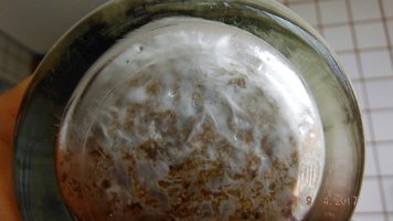 DSCF3438.JPG