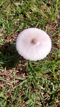 IMG_20170401_132129860_HDR[1].jpg