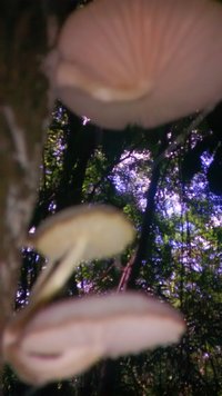 IMG_20170401_141206533[1].jpg