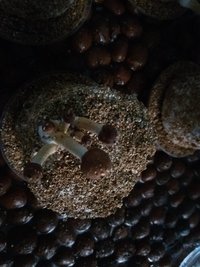 20170411_143537.jpg
