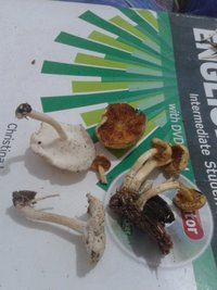 20170413_220859.jpg