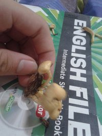 20170413_220744.jpg
