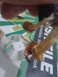 20170413_220800.jpg