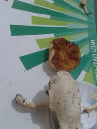 20170413_220835.jpg