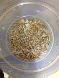 IMG-20170414-WA0131.jpg