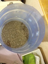IMG-20170414-WA0130.jpg