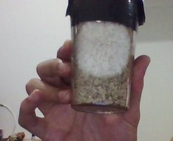 coguespalhado.jpg
