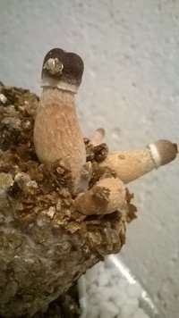 WP_20170418_006.jpg