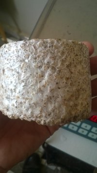 WP_20170419_003.jpg