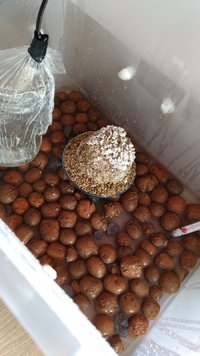 IMG-20170419-WA0014.jpeg