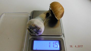 3.JPG
