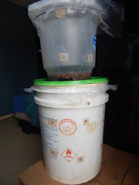 DSCN2986.JPG